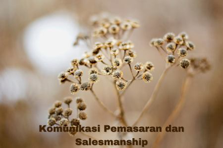 Komunikasi Pemasaran dan Salesmanship KS-2 (2017)